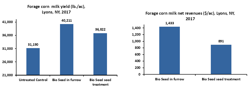 Bio Seed in forage corn, NY 2017