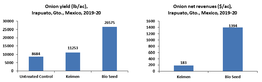 Bio Seed in onion, Mexico 2017-2020