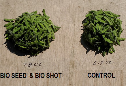 Bioseed vs control bean weight result | Ag BioTech, Inc.