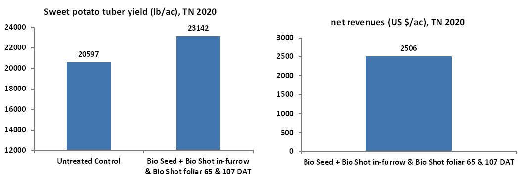 Bio Seed + Bio Shot in corn, TN 2018