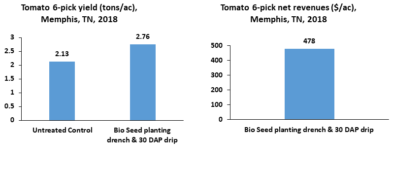 Bio Seed in tomato TN 2018