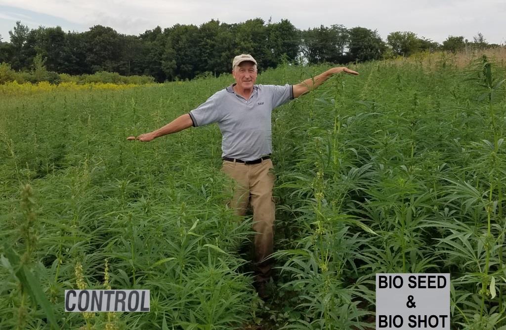 Bio seed vs control plant height result | Ag BioTech, Inc.