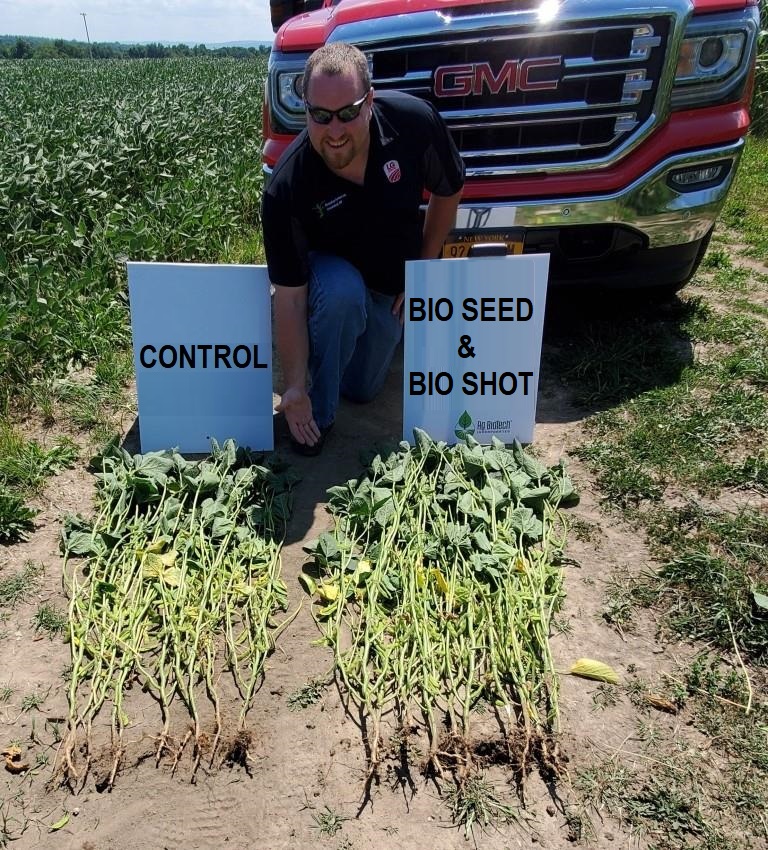 Bioseed vs control plant size comparison | Ag BioTech, Inc.
